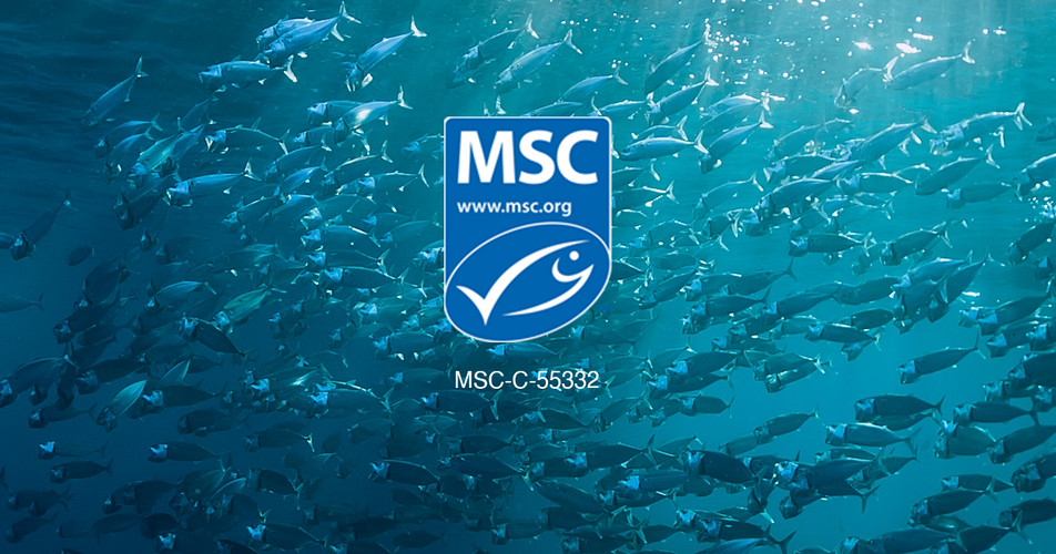 Authorable card image