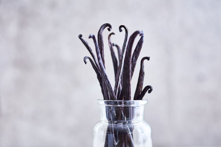 banner 2 image